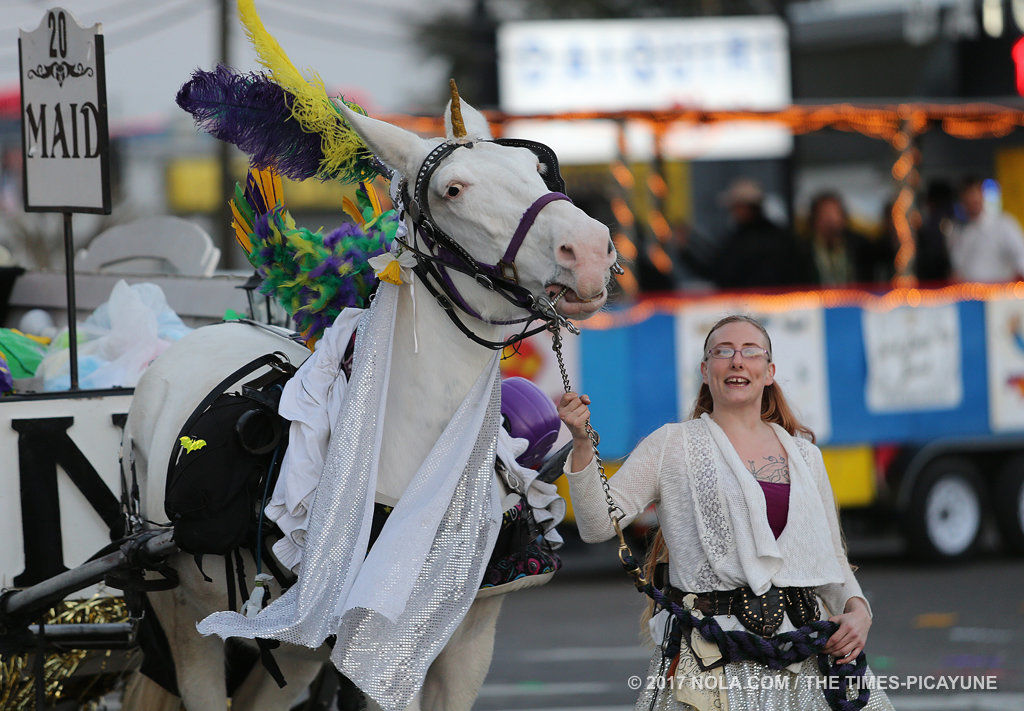 Corps de Napoleon rolls in Metairie: See Mardi Gras parade photos